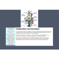 Independent Learning Objects logo - Similar company to Learning Objects