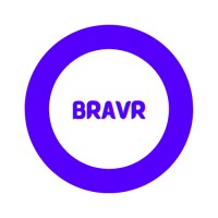 Bravr Search logo - Similar company to Tracker Software Technologies (Tst)