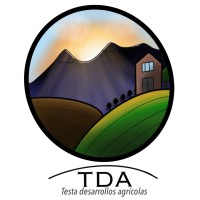 Testa Desarollos Agrícolas S.H. logo - Similar company to T & Comm / Tgroup S.A.