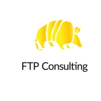 FTP Consulting logo - Similar company to Onetutor