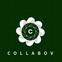 Collabov logo - Similar company to Xacpay Solution Pvt. Ltd