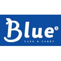 Blue Lda logo - Similar company to Amajova