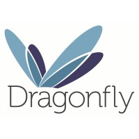 Dragonfly Agency logo - Similar company to 3Rd Level, Inc