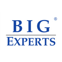 BIG EXPERTS logo - Similar company to Usa Priority Security, Llc