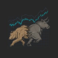 Bull&Bear Invest | CНГ logo - Similar company to Radis
