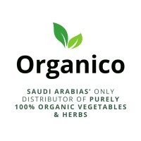 ORGANICO logo - Similar company to Bns Holding Group