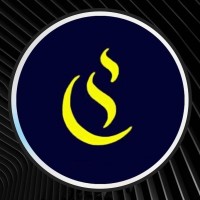 Conceitus Contabilidade logo - Similar company to Oritec Contabilidade