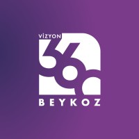 Vizyon 360 logo - Similar company to Zaem Investment
