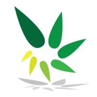 CELEBRATION PETALS -AN  EVENT MANAGEMENT COMPANY logo - Similar company to Aayojan Events