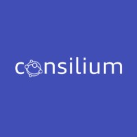 Consilium logo - Similar company to Metahype Solutions