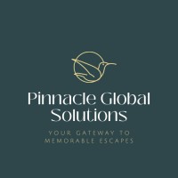 PINNACLE GLOBAL SOLUTIONS PGS logo - Similar company to Nexsphere