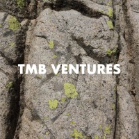 Tmb Consulting Llc