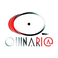 Quinaria logo - Similar company to Clevertec Ltda