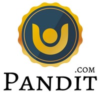 Pandit.com logo - Similar company to Digi Astro