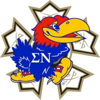 Sigma Nu Fraternity - Nu Chapter logo - Similar company to Sigma Nu Iota Chapter