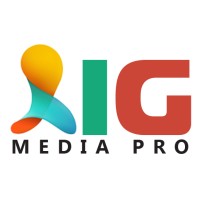 AIG Media Pro logo - Similar company to Nbb Digital Media