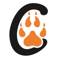 Big Cats India logo - Similar company to Takeoff Ventures