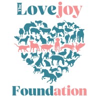 The Lovejoy Foundation logo - Similar company to Northeastern University Solar Decathlon