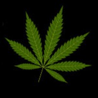 Medical Marijuana Consulting Corp logo - Similar company to Marijuana Mind Podcast