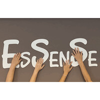 Praktijk EsSenSe logo - Similar company to Green Studio