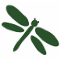 Greenfly