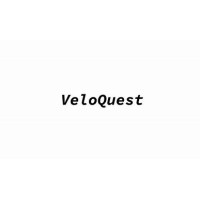 VeloQuest logo - Similar company to Data Analytics Experts