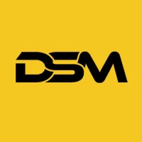 Digital Stellar Media logo - Similar company to Debug Flow