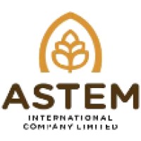 Astem International Company Limited logo - Similar company to Stripesnsigns