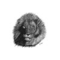 Aslan'S Army