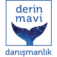 Derin Mavi Danışmanlık logo - Similar company to Dd Mosty Sp Z O.O.