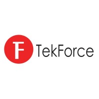 TekForce Inc logo - Similar company to Tek Leads Llc