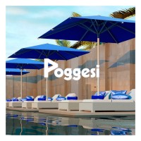 Poggesi Portugal logo - Similar company to Fowleruk
