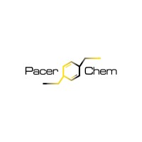Pacer Chemical Inc logo - Similar company to Enhanceflow Llc