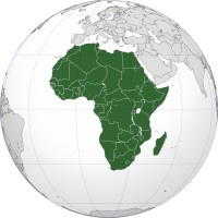 African Professionals Network Europe logo - Similar company to Alidasoft