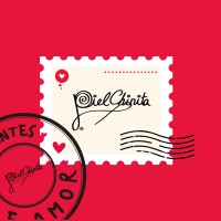 Piel Chinita logo - Similar company to Esmex Emprendimiento Social México