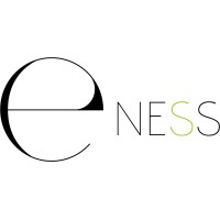 E-Ness Web Agency logo - Similar company to Lamour Du Web