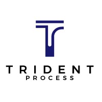 Trident Process logo - Similar company to Launchbay Llc