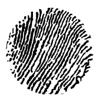Oubuntu Consulting LTD