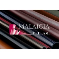 Malaigia Pellami S.r.l. logo - Similar company to Rettifica Lra