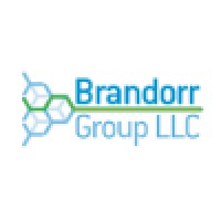 Brandorr Group logo - Similar company to Web Cloners
