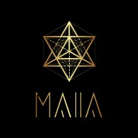 MAIIA™ LLC. logo - Similar company to Ai By Thrive