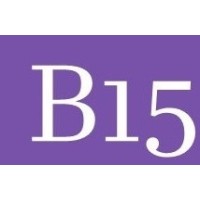 B15 Consulting LLC logo - Similar company to B15