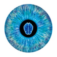 NeurOptics logo - Similar company to Functional Neuromodulation
