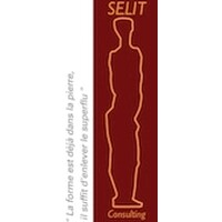 SELIT Consulting-Selit Leader® logo - Similar company to Cap Transitions - Cabinet De Management De Transition