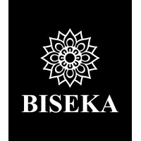 BISEKA logo - Similar company to Mono