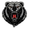 Equipe Black Bears logo - Similar company to Nexe Do Brasil