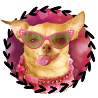 Salty Dog Swagg logo - Similar company to Flowskale