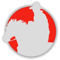 Red Pony Exploration Ltd. logo - Similar company to Tinova Resources Corp.