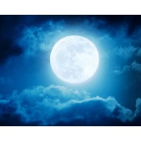 Moon Water Suppliers logo - Similar company to Infoscribe India
