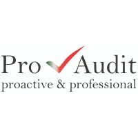 Pro Audit S.r.l. logo - Similar company to Studio Gvs & Partners